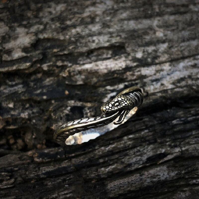 Reajustable Snake ring